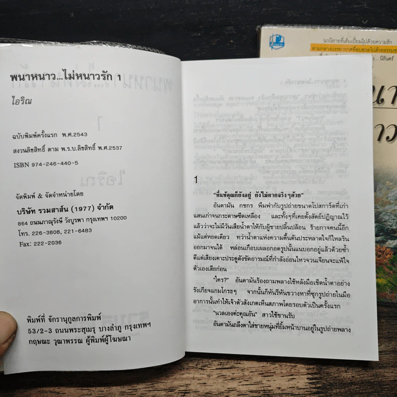 พนาหนาว...ไม่หนาวรัก 2 เล่มจบ - ไอริณ รูปที่ 6