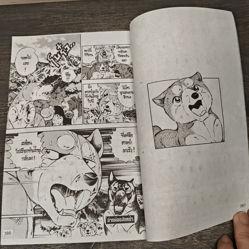 ตำนานไอ้เขี้ยวเงิน ภาค 2 เล่ม 15 รูปที่ 7