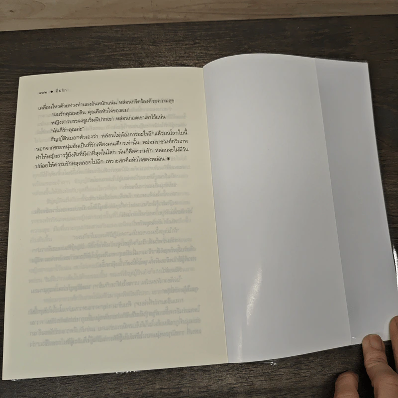 อิ่มรัก - เก้าแต้ม รูปที่ 8