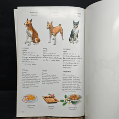 เรื่อง ทองแดง The Story of Tongdaeng ฉบับการ์ตูน ภาพสี รูปที่ 9