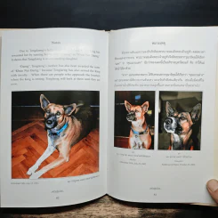 เรื่องทองแดง The Story of Tongdaeng ฉบับการ์ตูน ภาพสี รูปที่ 10