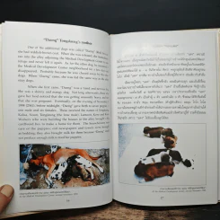 เรื่องทองแดง The Story of Tongdaeng ฉบับการ์ตูน ภาพสี รูปที่ 9