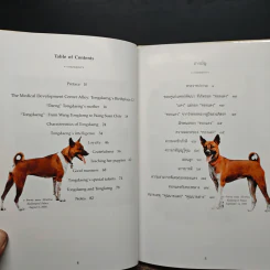เรื่องทองแดง The Story of Tongdaeng ฉบับการ์ตูน ภาพสี รูปที่ 7