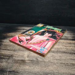 เจ้าสาวซาตาน เล่ม 13 รูปที่ 4
