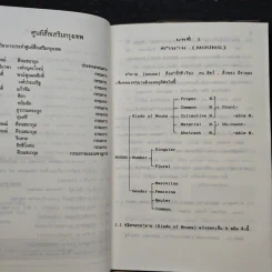 รวมสูตร-กฎ อังกฤษ ชุดทบทวนหน้าห้องสอบ ม.1-2-3 รูปที่ 7