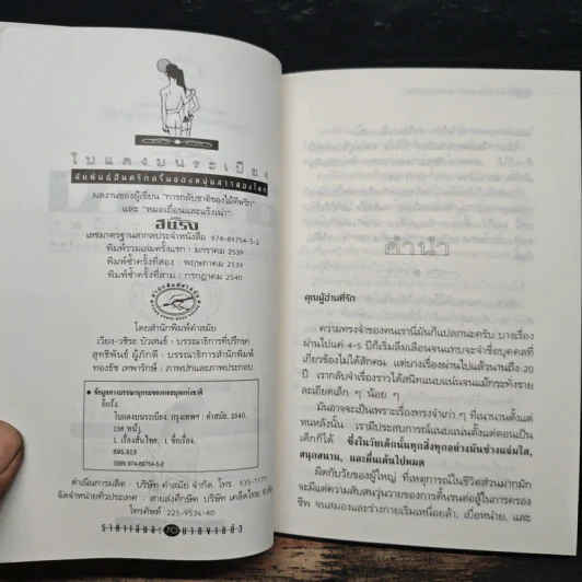โบแดงบนระเบียง - อีแร้ง รูปที่ 6