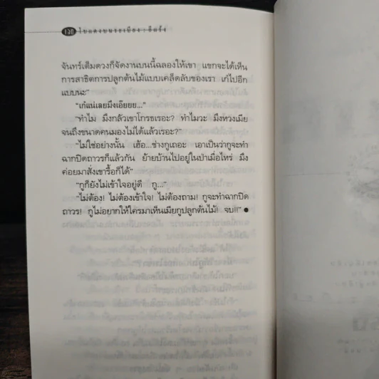 โบแดงบนระเบียง - อีแร้ง รูปที่ 8