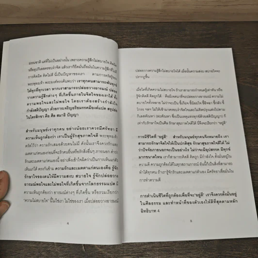 วัคซีนธรรมะ - พระอาจารย์มิตซูโอะ คเวสโก รูปที่ 7