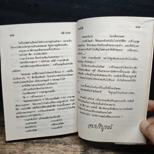 วิหคเหินฟ้า - วลัย นวาระ รูปที่ 8