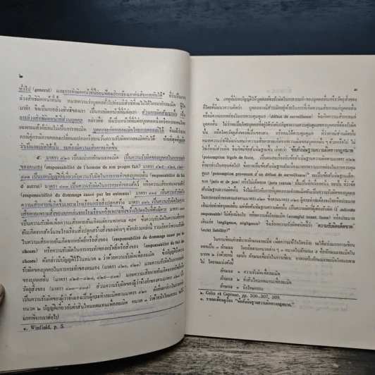 คำอธิบายประมวลกฎหมายแพ่งและพาณิชย์ลักษณะละเมิด - นายไพจิตร ปุญญพันธุ์ รูปที่ 9