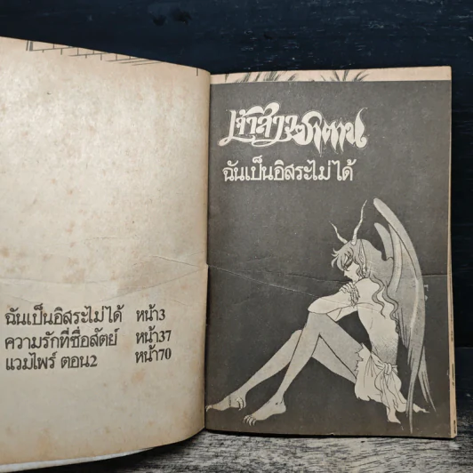 เจ้าสาวซาตาน เล่ม 13 รูปที่ 6