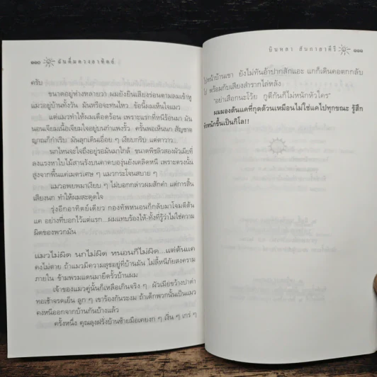 ฉันดื่มดวงอาทิตย์ - บินหลา สันกาลาคีรี รูปที่ 9
