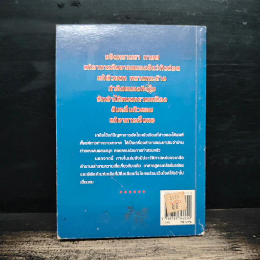 108 ประโยชน์ของเกลือในครัวเเรือน ปัญหาสารพัด ขจัดด้วยเกลือ - Patty Moosbrugger รูปที่ 2
