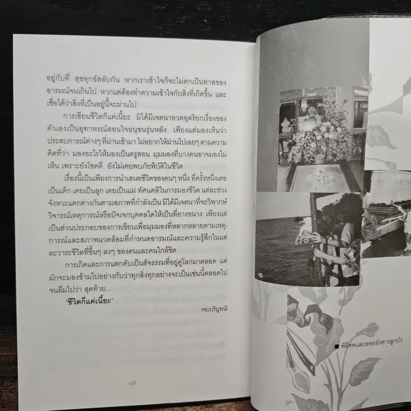ชีวิตก็แค่เนี๊ยะ - ผาสุก ถมยา รูปที่ 9