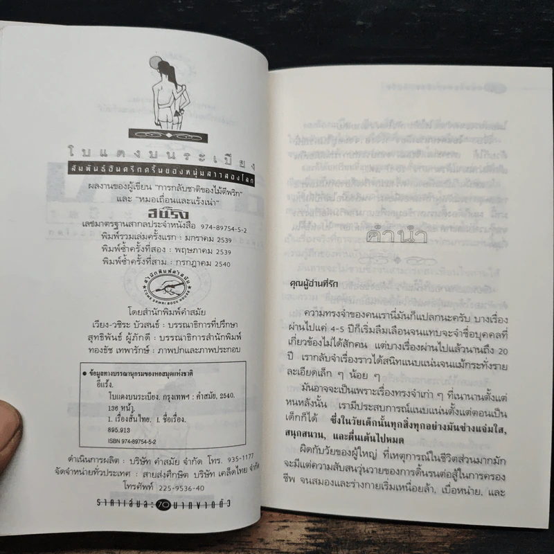 โบแดงบนระเบียง - อีแร้ง รูปที่ 6