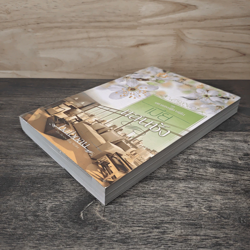 เมียแสนชัง ชุด มหาเศรษฐีคาร์ตัน - Baiboau รูปที่ 3
