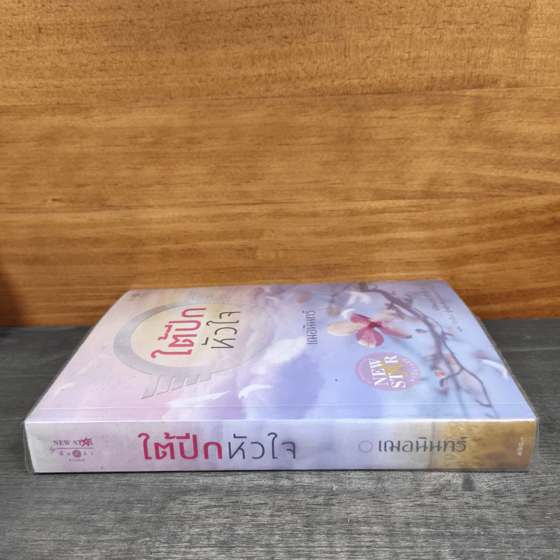 ใต้ปีกหัวใจ - เฌอนินทร์ รูปที่ 2
