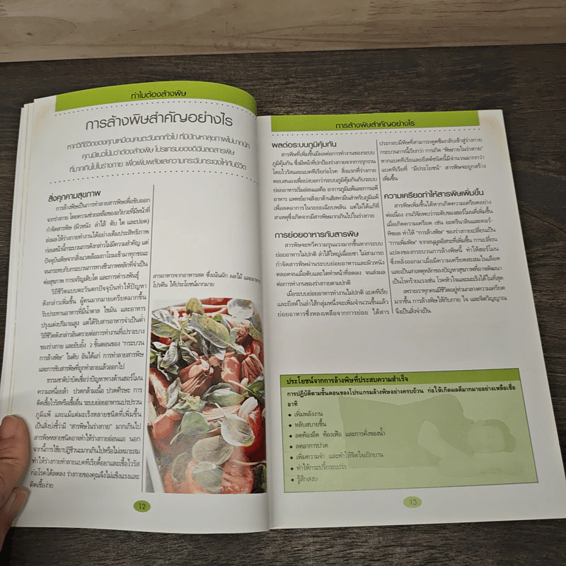 คู่มือดูแลสุขภาพด้วยการล้างพิษ Detox Handbook - Dr.Jennifer Harper รูปที่ 9