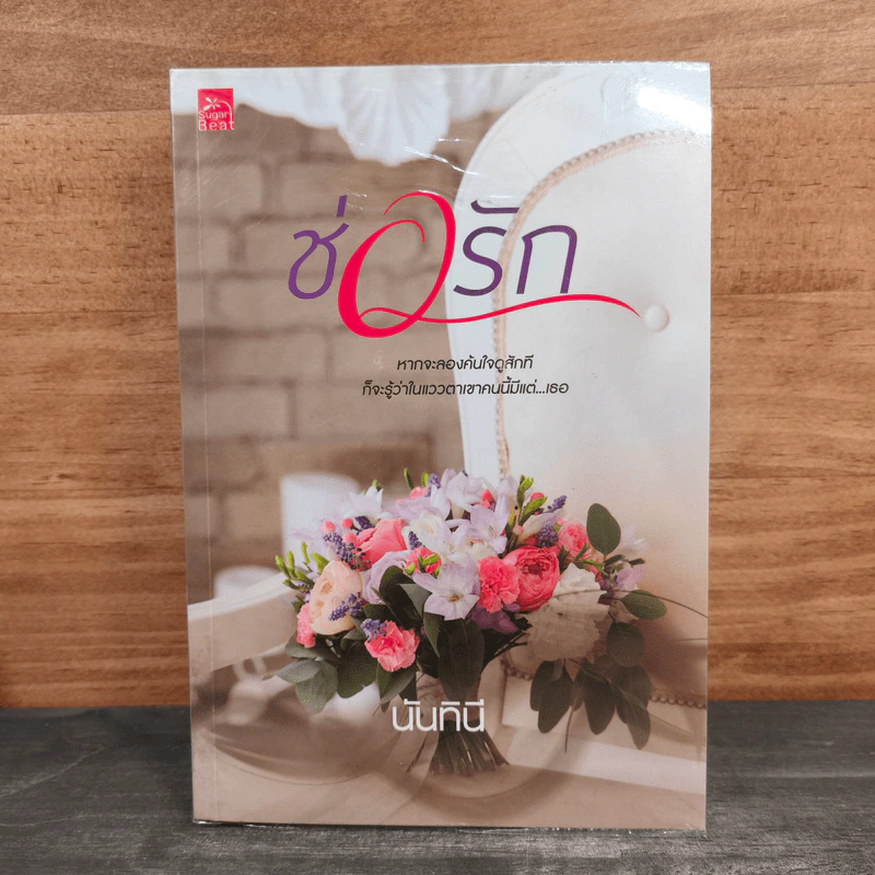 ซ่อนรัก - นันทินี รูปที่ 1