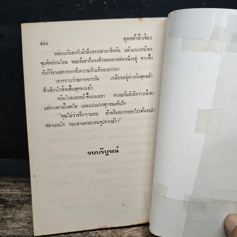 สุดหล้าฟ้าเขียว - จามรี พรรณชมพู รูปที่ 7