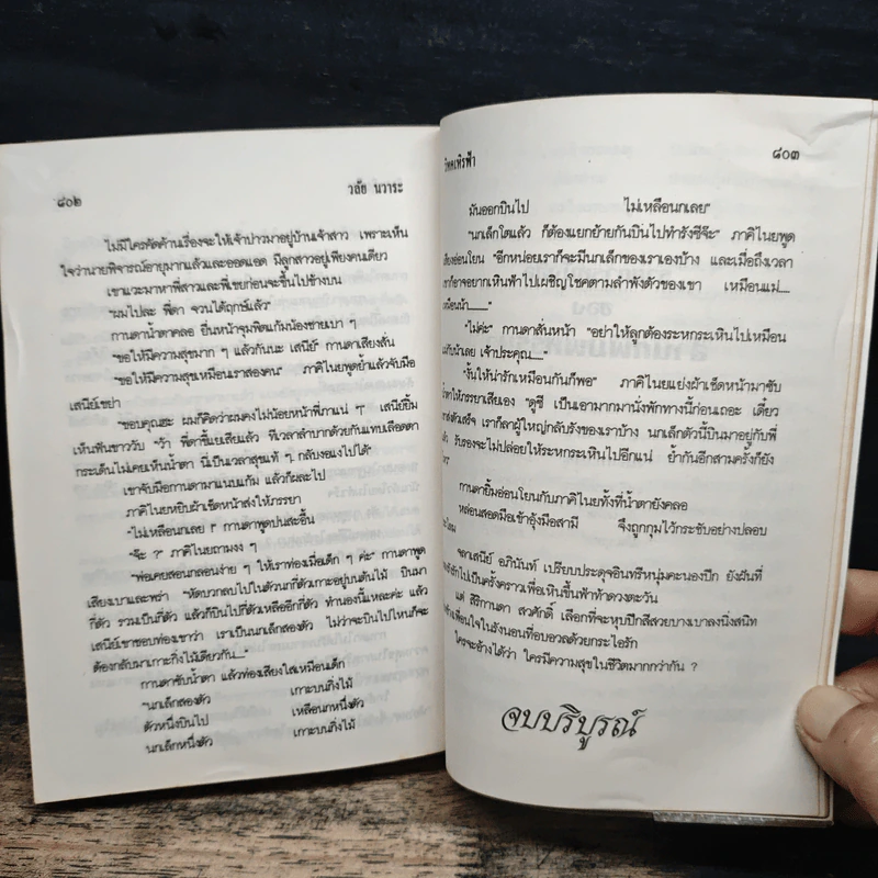 วิหคเหินฟ้า - วลัย นวาระ รูปที่ 8