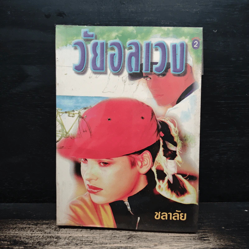 วัยอลเวง - ชลาลัย รูปที่ 1
