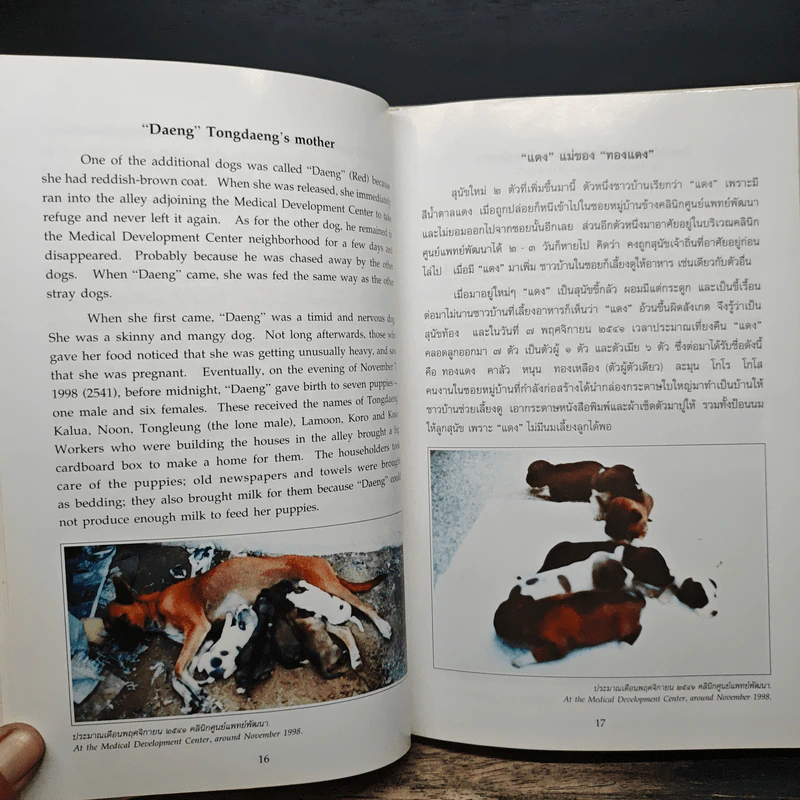 เรื่องทองแดง The Story of Tongdaeng - พระบาทสมเด็จพระเจ้าอยู่หัวภูมิพลอดุลยเดช รูปที่ 8