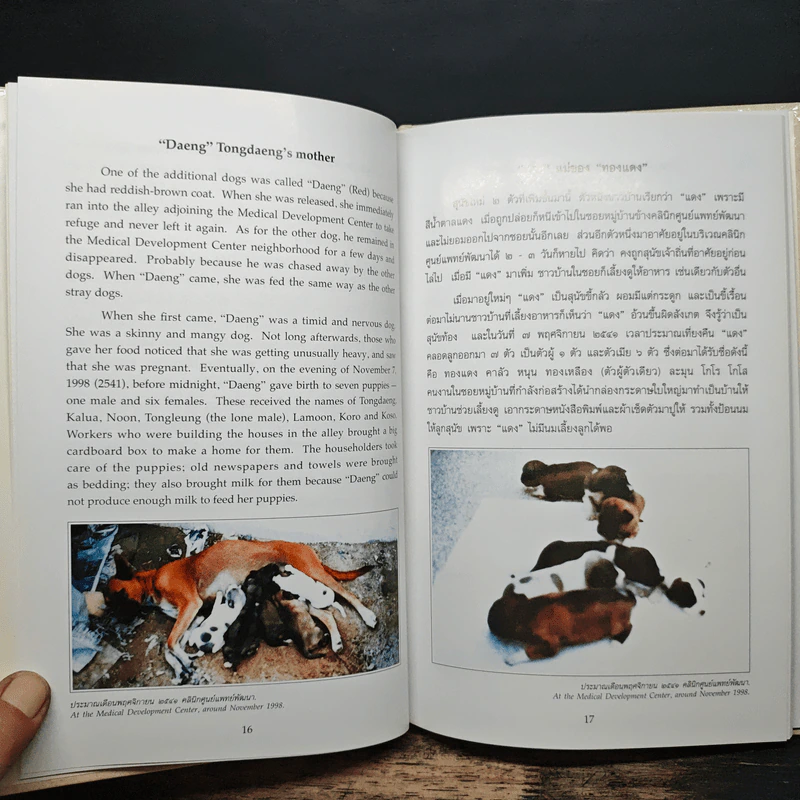 เรื่องทองแดง The Story of Tongdaeng ฉบับการ์ตูน ภาพสี รูปที่ 9