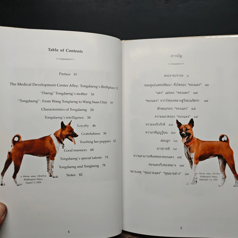 เรื่องทองแดง The Story of Tongdaeng ฉบับการ์ตูน ภาพสี รูปที่ 7