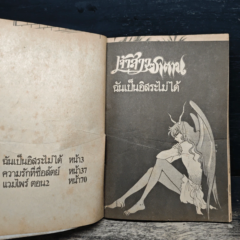 เจ้าสาวซาตาน เล่ม 13 รูปที่ 6