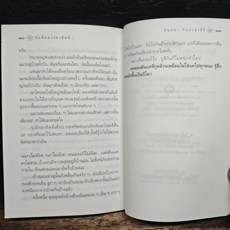 ฉันดื่มดวงอาทิตย์ - บินหลา สันกาลาคีรี รูปที่ 9