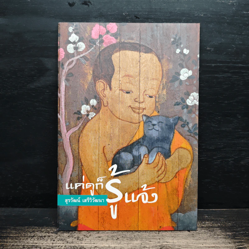 แค่ดูก็รู้แจ้ง - สุรวัฒน์ เสรีวิวัฒนา รูปที่ 1