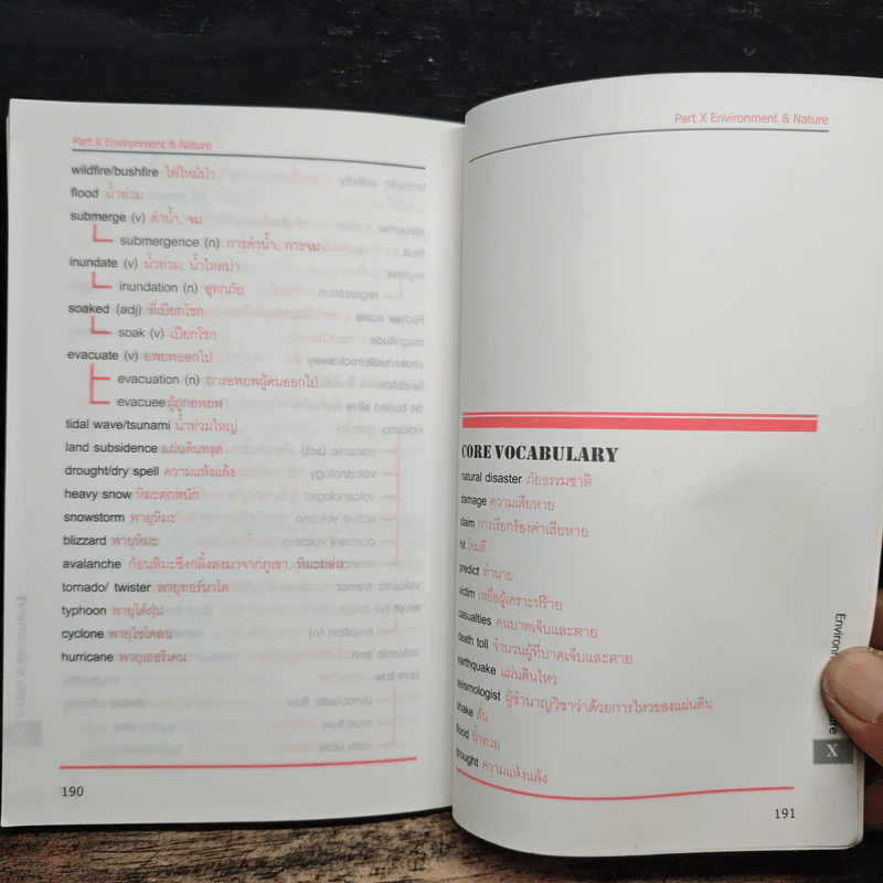 World Wide Words 2 - Enconcept รูปที่ 9