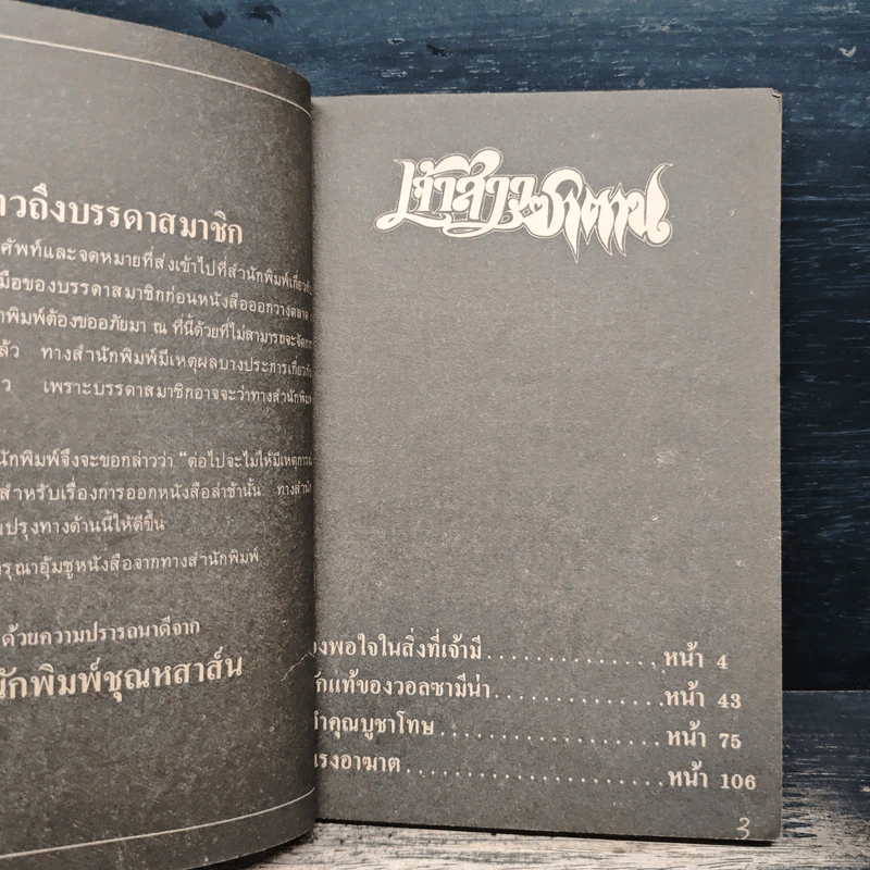เจ้าสาวซาตาน เล่ม 3 รูปที่ 7
