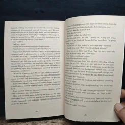 Once A Pilgrim - James Deegan รูปที่ 8