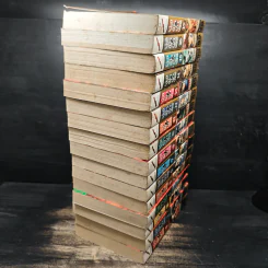 เปลวฟ้าผ่าปฐพี เล่ม 1-17 รูปที่ 4