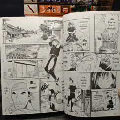 เปลวฟ้าผ่าปฐพี เล่ม 1-17 รูปที่ 9