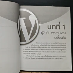 ผมใช้ WordPress หาเงินและทำการตลาดออนไลน์ได้ยังไง รูปที่ 12