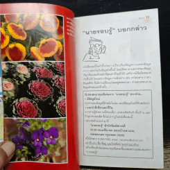 เชียงใหม่ เที่ยวทั่วไทยไปกับนายรอบรู้ รูปที่ 6