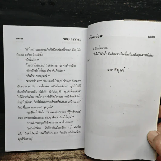 ใต้ร่มแห่งรัก - วลัย นวาระ รูปที่ 8