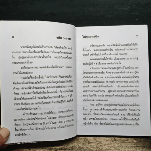 ใต้ร่มแห่งรัก - วลัย นวาระ รูปที่ 7