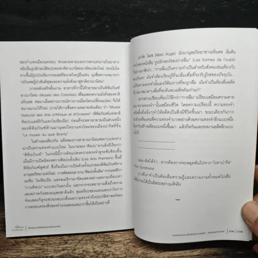 Paris Syndrome ชีวิตอันระเหิดไปของชายไทยคนหนึ่ง - สุดแดน วิสุทธิลักษณ์ รูปที่ 9