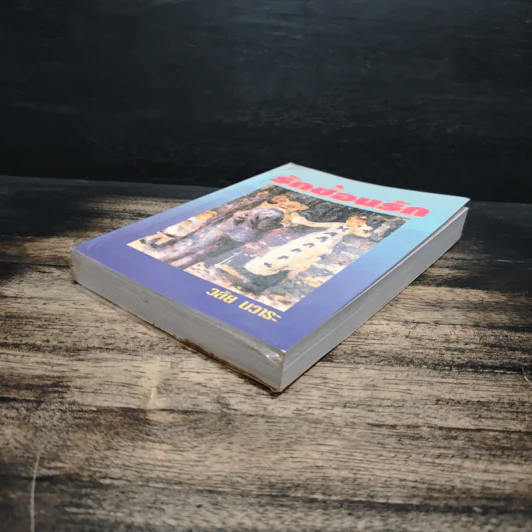รักซ้อนรัก - วลัย นวาระ รูปที่ 4