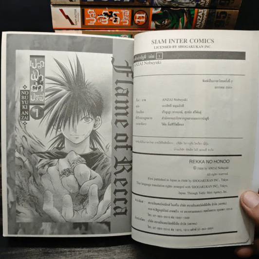 เปลวฟ้าผ่าปฐพี เล่ม 1-17 รูปที่ 6