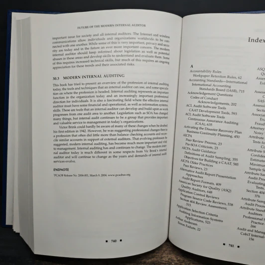 Brink's Modern Internal Auditing - Robert R. Moeller รูปที่ 14