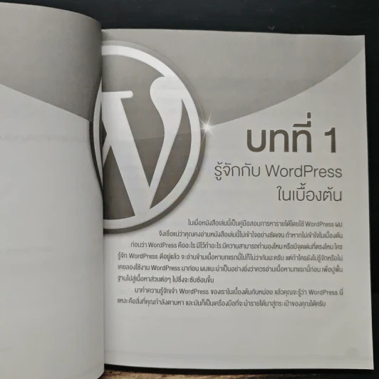 ผมใช้ WordPress หาเงินและทำการตลาดออนไลน์ได้ยังไง รูปที่ 12