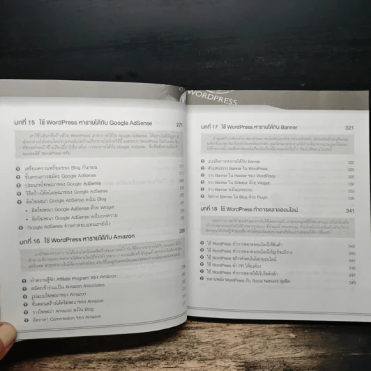 ผมใช้ WordPress หาเงินและทำการตลาดออนไลน์ได้ยังไง รูปที่ 10