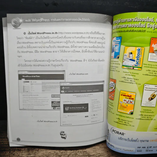 ผมใช้ WordPress หาเงินและทำการตลาดออนไลน์ได้ยังไง รูปที่ 13