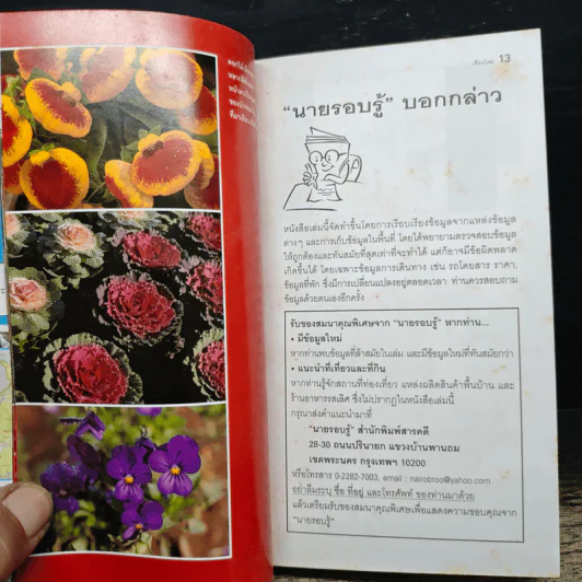เชียงใหม่ เที่ยวทั่วไทยไปกับนายรอบรู้ รูปที่ 6