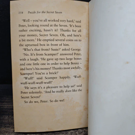 Puzzle for the Secret Seven - Enid Blyton รูปที่ 8